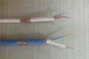 益陽特種控制電纜TKYVR 性能特點與應用領域解析