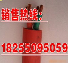 天長市康泰儀表電纜廠 高品質控制電纜的卓越之選